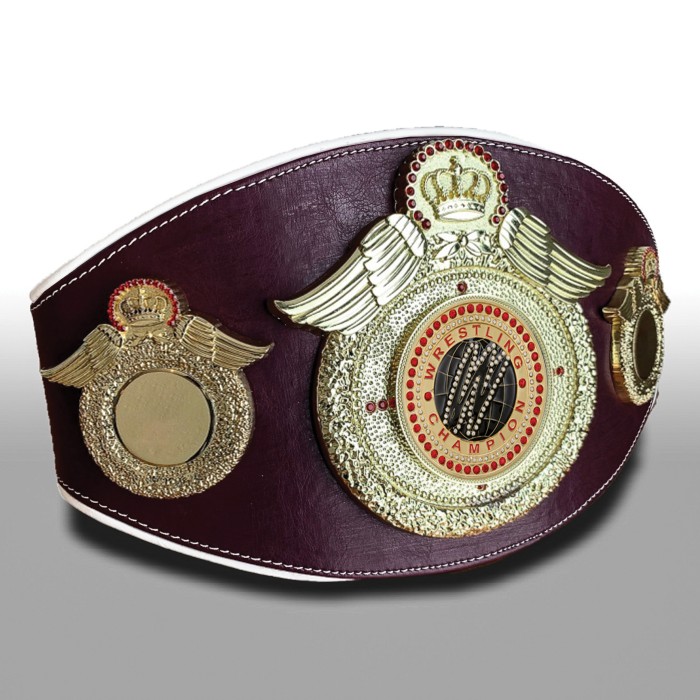WRESTLING CHAMPIONSHIP BELT-PROWING/G/WRESTGEMG-6+ COLOURS
